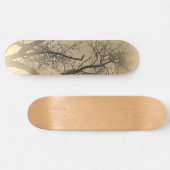 SKATEBOARD STYLE UND DESIGN (Horizontal)