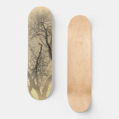 SKATEBOARD STYLE UND DESIGN (Vorderseite)