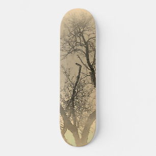 SKATEBOARD STYLE UND DESIGN