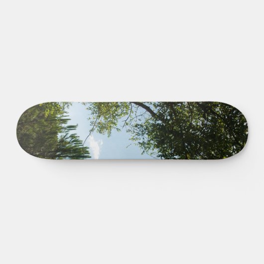 SKATEBOARD STYLE UND DESIGN (Horizontal)