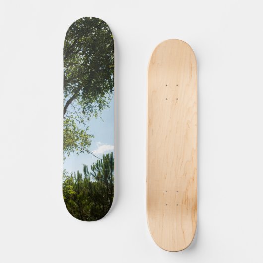 SKATEBOARD STYLE UND DESIGN (Vorderseite)