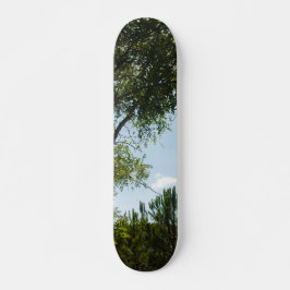 SKATEBOARD STYLE UND DESIGN