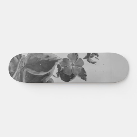 SKATEBOARD STYLE UND DESIGN (Horizontal)
