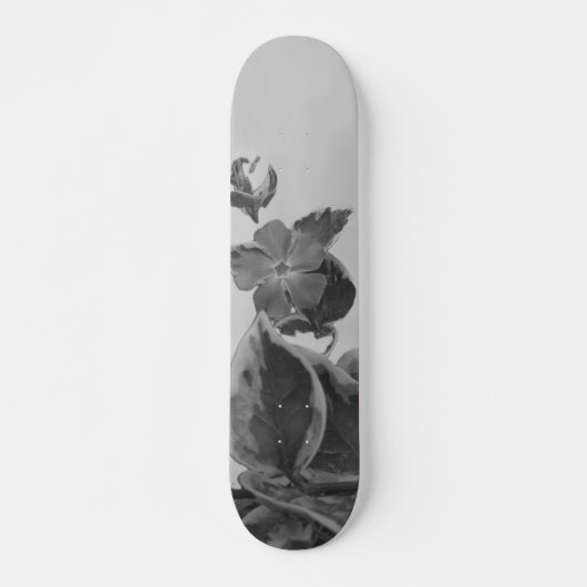 SKATEBOARD STYLE UND DESIGN (Vorne)