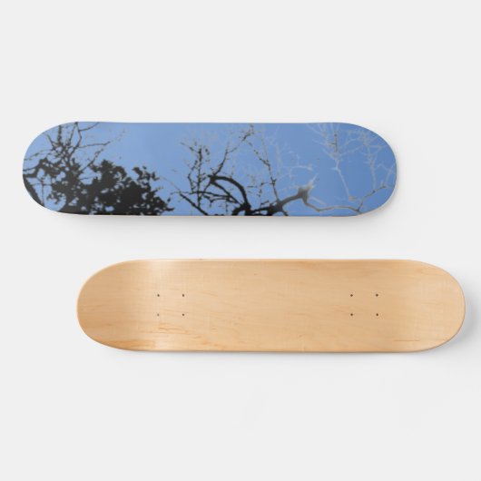 SKATEBOARD STYLE UND DESIGN (Horizontal)