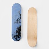 SKATEBOARD STYLE UND DESIGN (Vorderseite)
