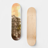 SKATEBOARD STYLE UND DESIGN (Vorderseite)