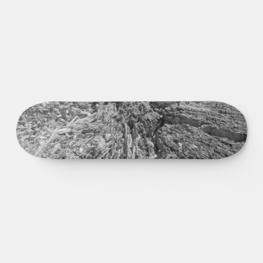 SKATEBOARD STYLE UND DESIGN (Horizontal)
