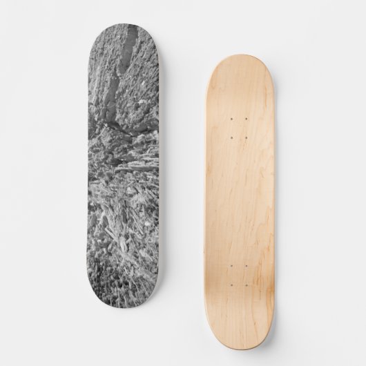 SKATEBOARD STYLE UND DESIGN (Vorderseite)