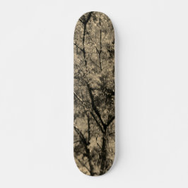 SKATEBOARD STYLE UND DESIGN