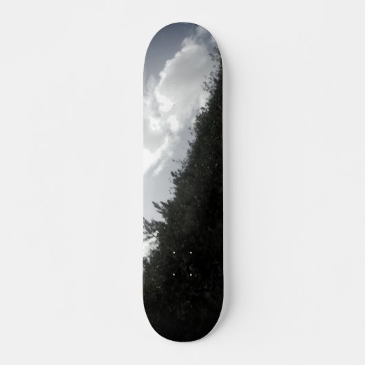SKATEBOARD STYLE UND DESIGN (Vorne)
