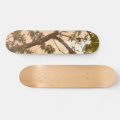 SKATEBOARD STYLE UND DESIGN (Horizontal)