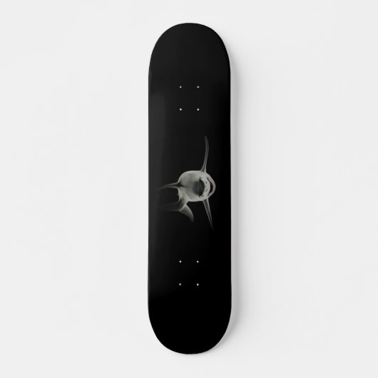 SKATEBOARD STYLE UND DESIGN (Vorne)