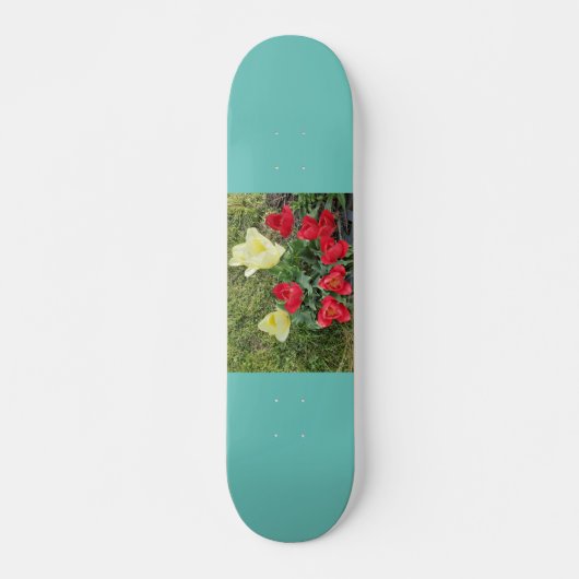 Skateboard Tulips, 7¾ Zoll Deck (Vorne)