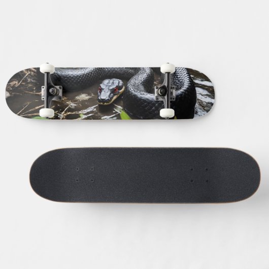 Skateboard with black anaconda (Horizontal)
