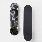 Skateboard with black anaconda (Vorderseite)
