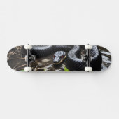 Skateboard with black anaconda (Horizontal)