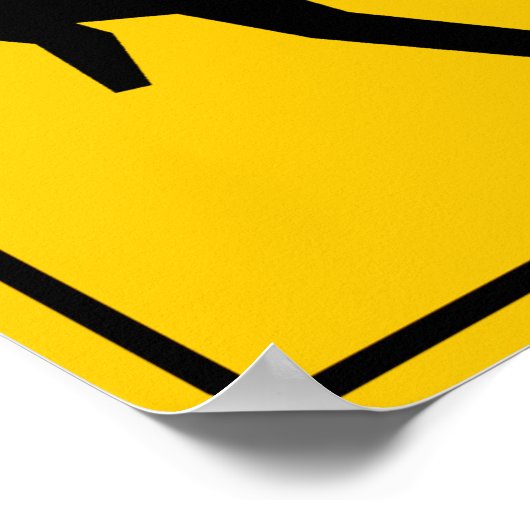 Skateboard Zone Highway-Zeichen Poster (Ecke)