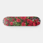 Skateboarddeck (Horizontal)