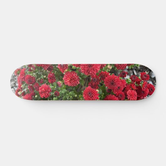 Skateboarddeck (Horizontal)
