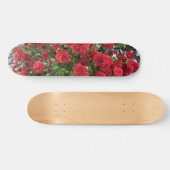 Skateboarddeck (Horizontal)