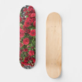 Skateboarddeck (Vorderseite)