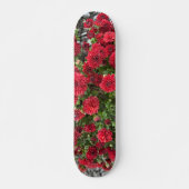 Skateboarddeck (Vorne)