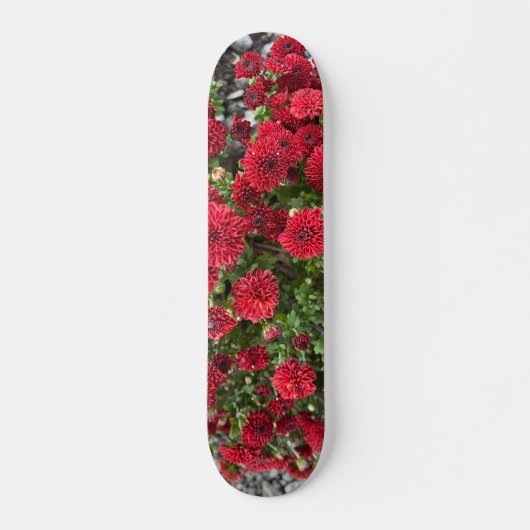 Skateboarddeck (Vorne)