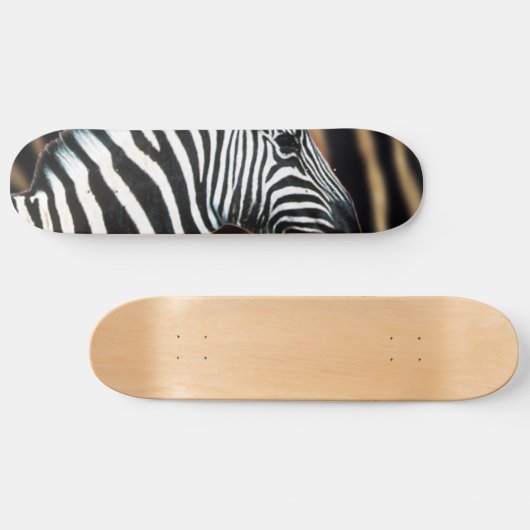 Skateboarddeck Zebra Stripes Wildlife Animal Art (Horizontal)