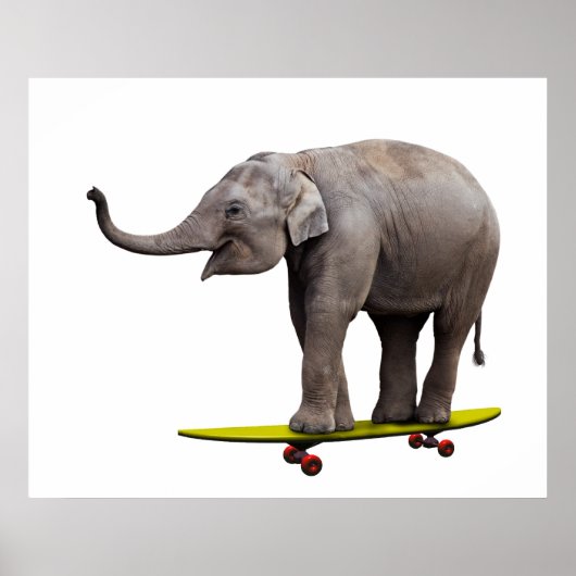 Skateboarding Elefant Poster (Vorne)
