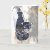 Skateboarding Mops Card (Foto) Karte (Gelbe Blume)