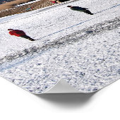 Skaten an den Windmühlen im Winter Poster (Ecke)