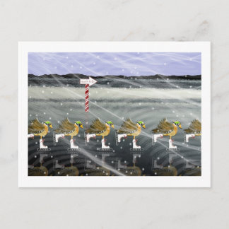Skaten Ducks zu Weihnachten