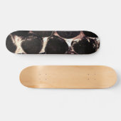 Skaten Stones ~ Skateboard (Horizontal)
