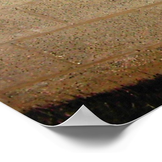 Skater Heaven Poster (Ecke)