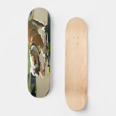 Skater-HundeSkateboard Skateboard (Vorderseite)
