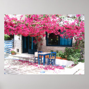 Skathos town Bougainvillea 1196 Poster