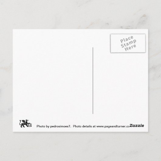 Skating Postkarte (Rückseite)