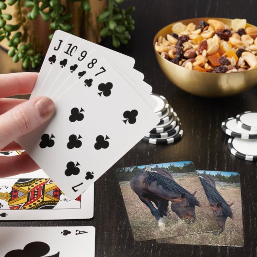 Skeeter Spielkarten (In Situ)