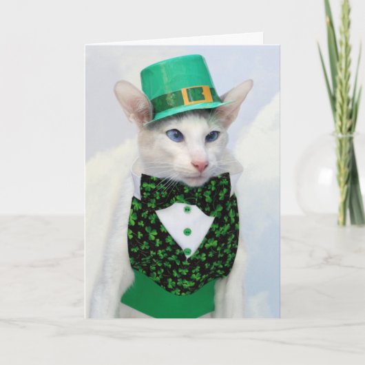 Skeezix McCat St Patrick Tageskarte Karte (Vorderseite)