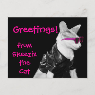 Skeezix the Cat Postcard Postkarte