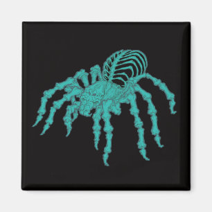 Skeletal Tarantula Magnet
