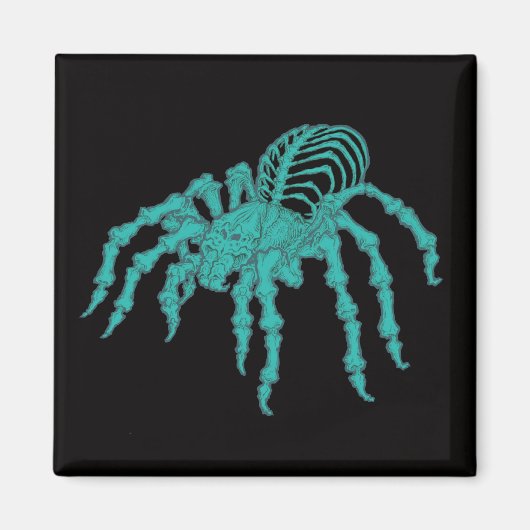Skeletal Tarantula Magnet (Vorne)