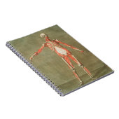 SKELETON ANATOMY BONES KÖRPER GRAVE MUSKELANATOMIE NOTIZBLOCK (Rechte Seite)