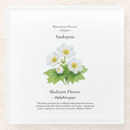 Skeleton-Blumen-Untersetzer – Diphylleia grayi Glasuntersetzer (Vorderseite)