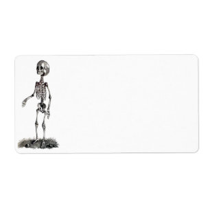 Skeleton das Avery des Kindes Aufkleber