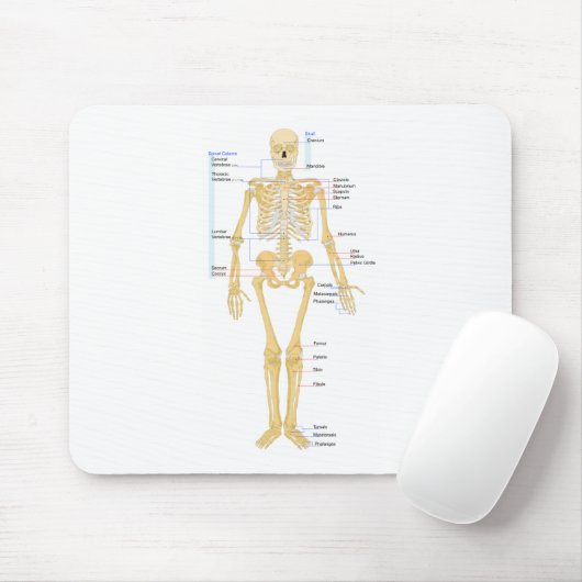 Skeleton Diagramm Mousepad (Mit Mouse)