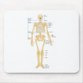 Skeleton Diagramm Mousepad (Vorne)