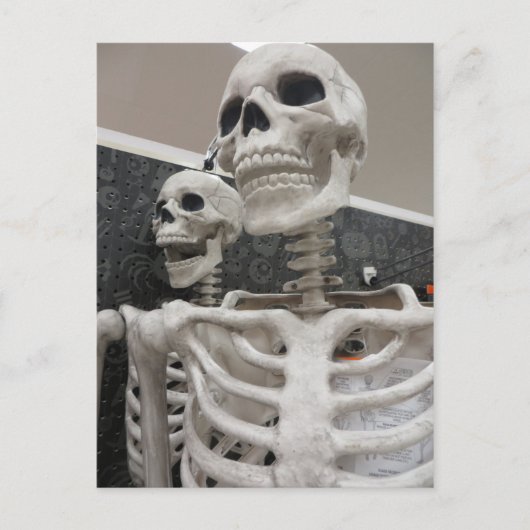 Skeleton Duo Postkarte (Vorderseite)