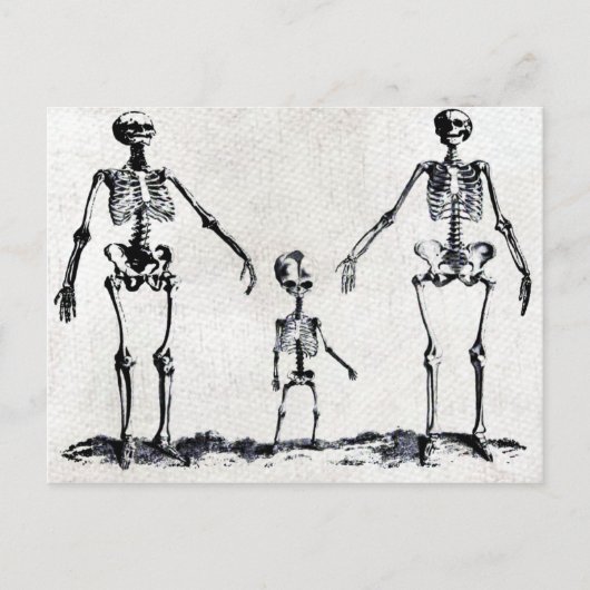 Skeleton Family Postcard Postkarte (Vorderseite)